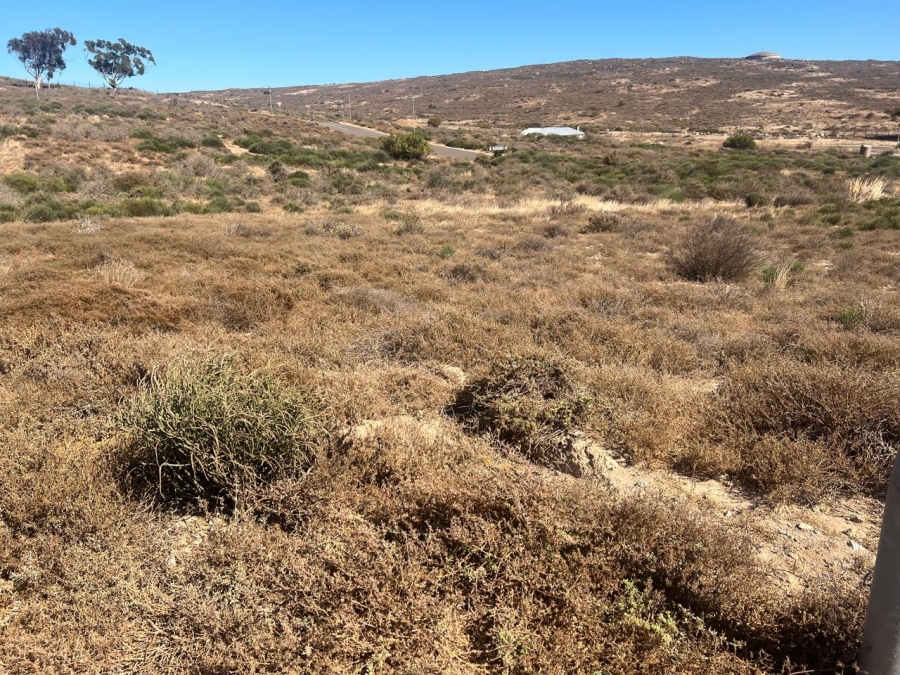 Commercial Property for Sale in St Helena Views Western Cape